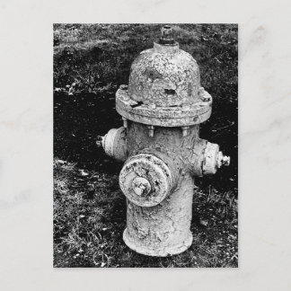 Postal Worn Chipped Rusty Old Fire Hydrant Photo