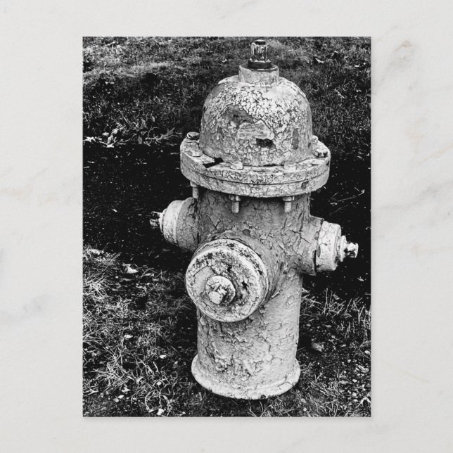 Postal Worn Chipped Rusty Old Fire Hydrant Photo (Anverso)