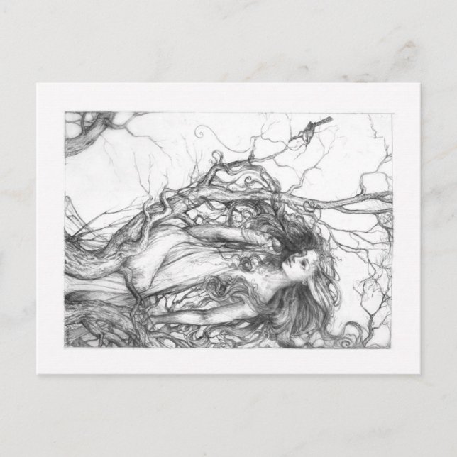 Postal Wren (Anverso)