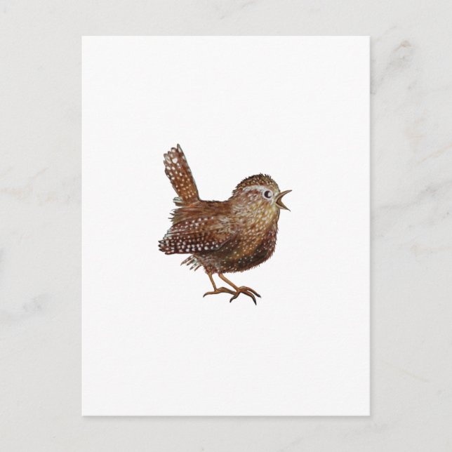 Postal Wren Bird cantando una canción fuerte y hermosa (Anverso)