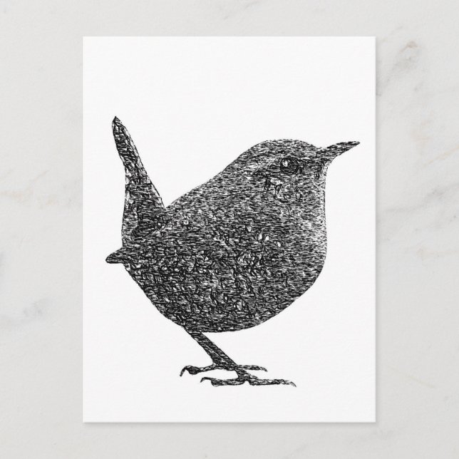 Postal Wren (blanco y negro) (Anverso)