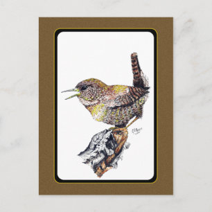 Postal Wren Postcard en tinta