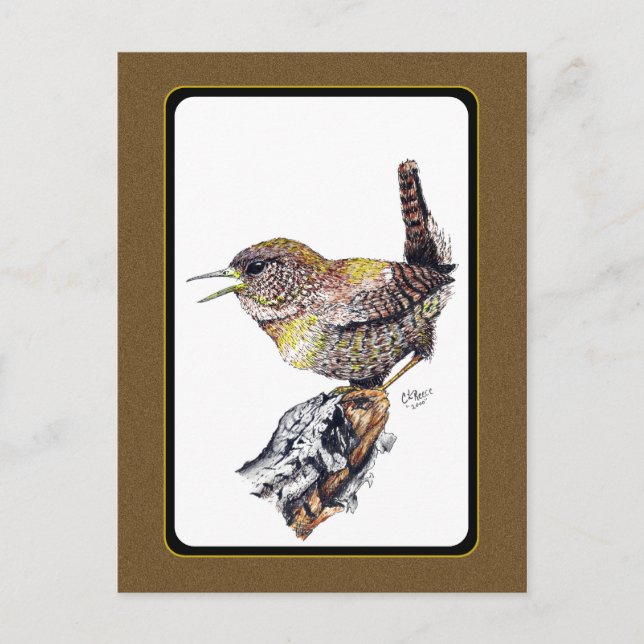 Postal Wren Postcard en tinta (Anverso)