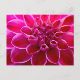 Postal Wunderschöner pink-rosa-farbener Blütengruß