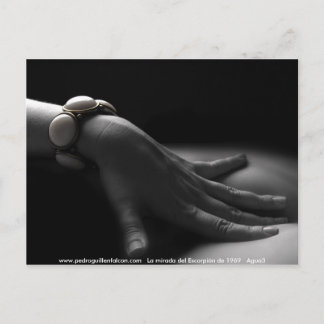 Postal www.pedroguillenfalcon.com