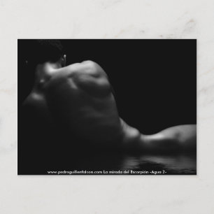 Postal www.pedroguillenfalcon.com