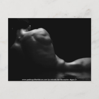 Postal www.pedroguillenfalcon.com