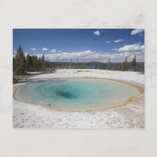Postal WY, Parque Nacional Yellowstone, West Thumb Geyser