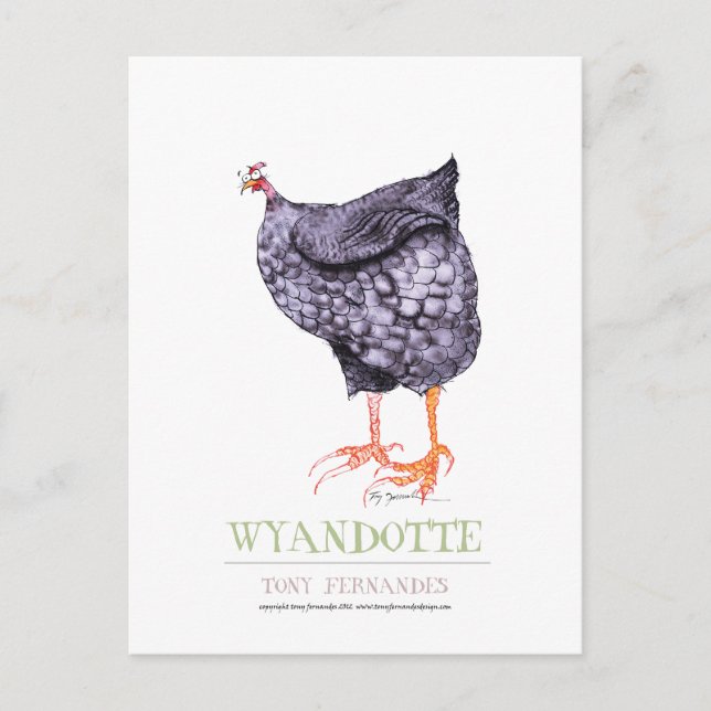Postal WYANDOTTE HEN, tony fernandes (Anverso)