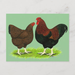 Postal Wyandotte: Parroquia de Partridge