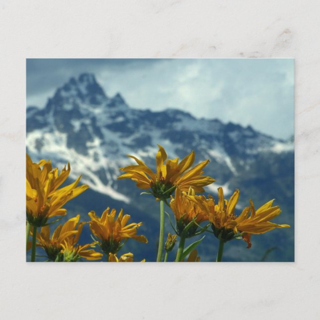 Postal Wyoming (Anverso)