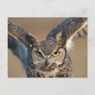 Postal Wyoming, EE.UU.