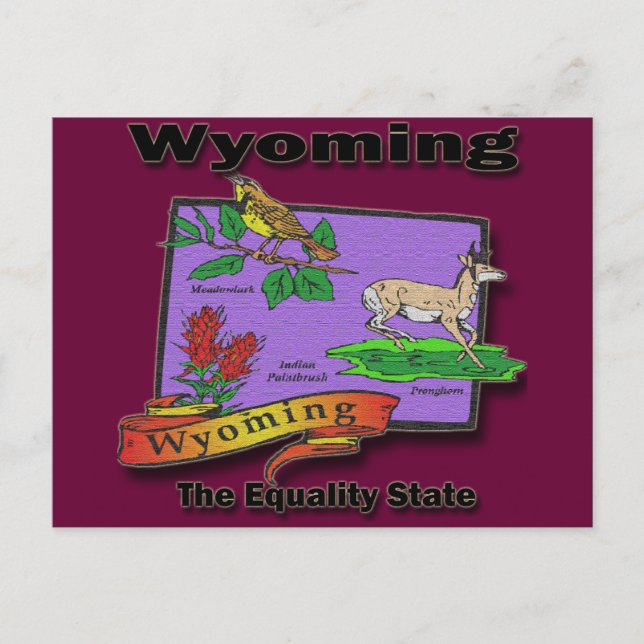 Postal Wyoming El Pájaro Del Estado De La Igualdad Querid (Anverso)
