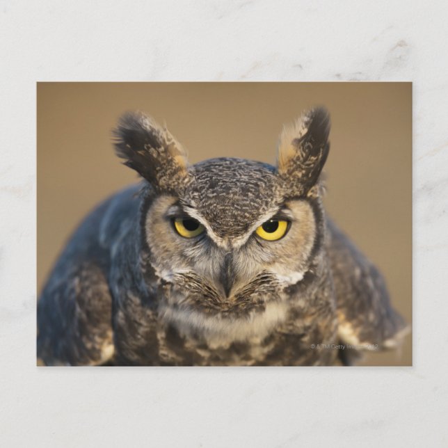 Postal wyoming, estados unidos (Anverso)