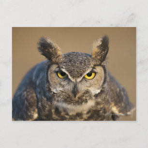 Postal wyoming, estados unidos