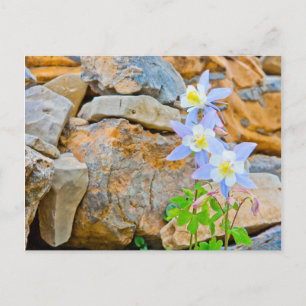 Postal Wyoming, Parque Nacional del Gran Tetón 1