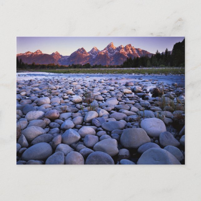 Postal Wyoming, Parque Nacional Teton, Río Snake (Anverso)