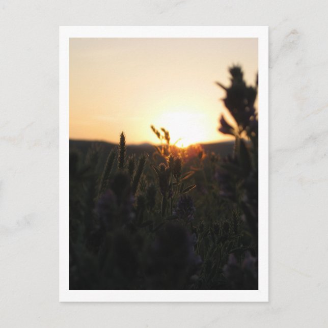 Postal Wyoming Sunrise (Anverso)