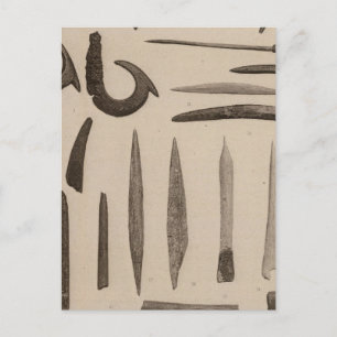 Postal XI Artículos óseos, California del Sur