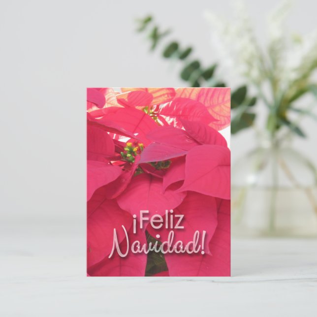 Postal Xmas 001 - Spanish - Postcard (Anverso de pie)