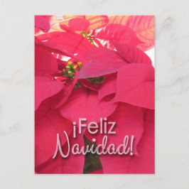 Postal Xmas 001 - Spanish - Postcard