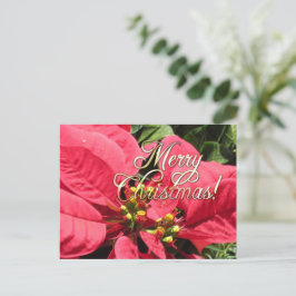 Postal Xmas 002 - Postcard