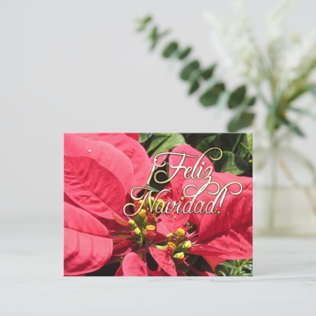 Postal Xmas 002 -Spanish  - Postcard (Anverso de pie)