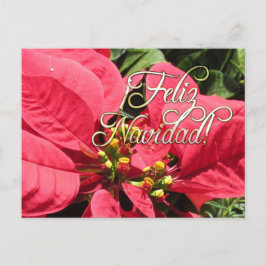 Postal Xmas 002 -Spanish  - Postcard