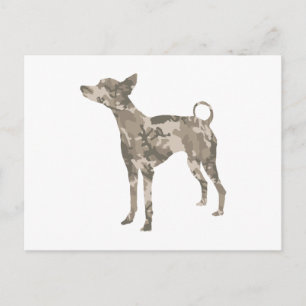 Postal Xoloitzcuintli