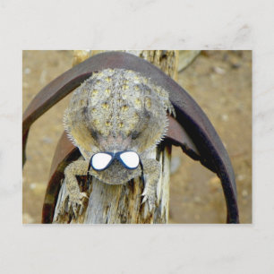 Postal xoxo, Troy...Hi Cherie...LOL...o es O.M.G.