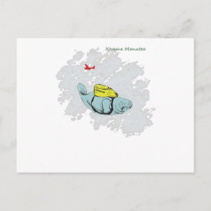 Postal Xtreme Manatee Skydiving