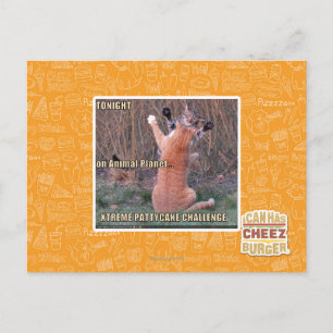 Postal Xtreme PattyCake Challenge