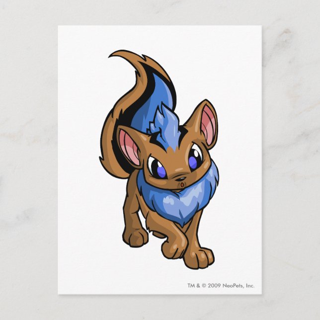 Postal Xweetok Blue (Anverso)