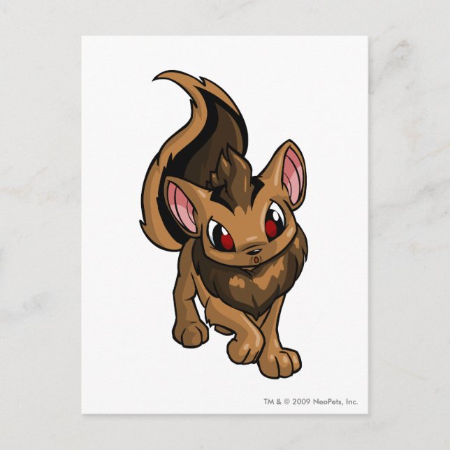 Postal Xweetok Brown (Anverso)