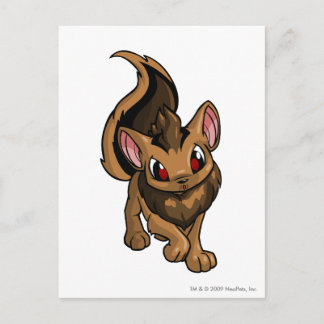 Postal Xweetok Brown