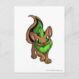 Postal Xweetok Green