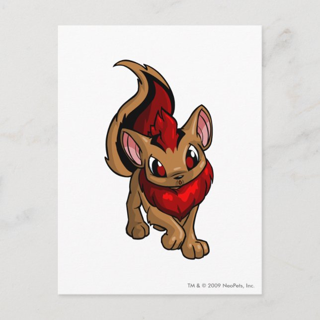 Postal Xweetok Red (Anverso)
