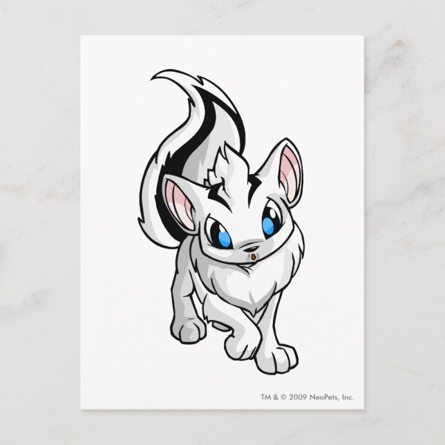 Postal Xweetok White (Anverso)