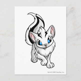 Postal Xweetok White