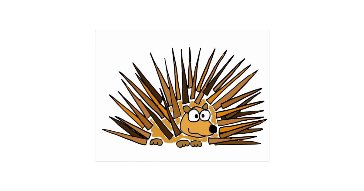 Postal Xx Dibujo Animado Del Arte Del Puerco Espin Zazzle Es