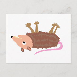 Postal XX- Divertido Personalizado de Possum Roadkill