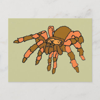 Postal XX- Hilarante araña tarántula