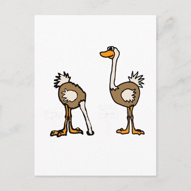 Postal XX- Ostriches en arena (Anverso)