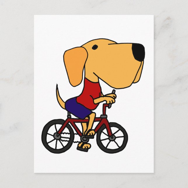 Postal XX- Personalizado de bicicleta de perros labrador  (Anverso)
