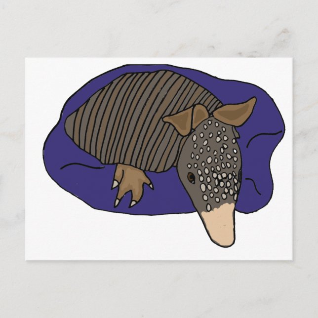 Postal XY - El Armadillo bebé en un diseño de almohada (Anverso)