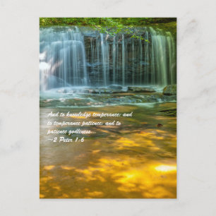 Postal Y a la templanza del conocimiento; y a la moderaci