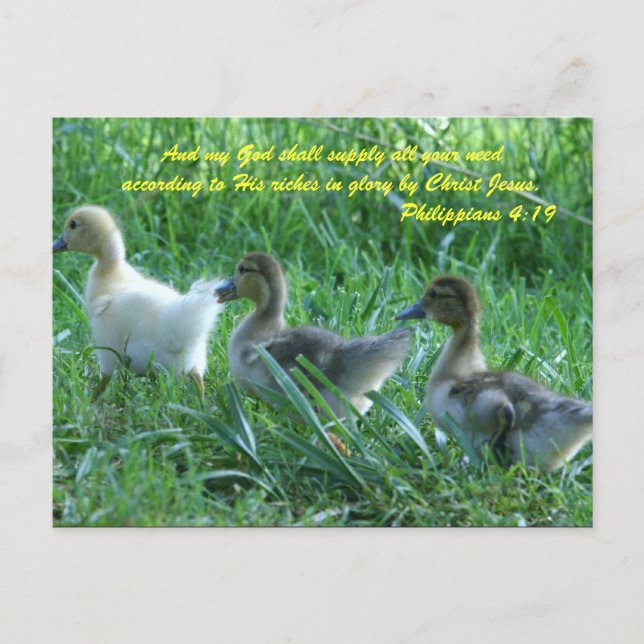 Postal Y mi Dios proveerá todas tus necesidades de acuerd (Anverso)