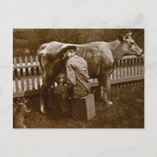 Postal Y Nicodemus el gato fue alimentado al borde del ca