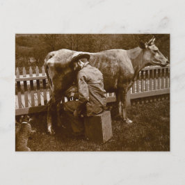 Postal Y Nicodemus el gato fue alimentado al borde del ca