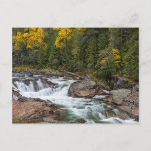 Postal Yaak Cae En Otoño En El País De Kootenai